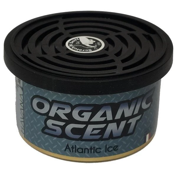 Premium Organic Scent Car Air Fresheners - Image 4